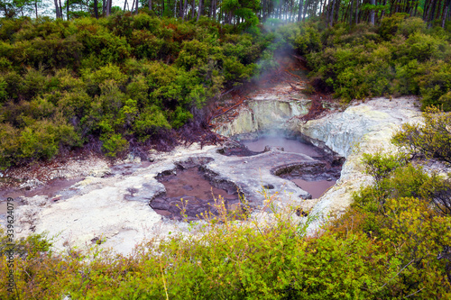 The Waimangu Volcanic Rift Valley
