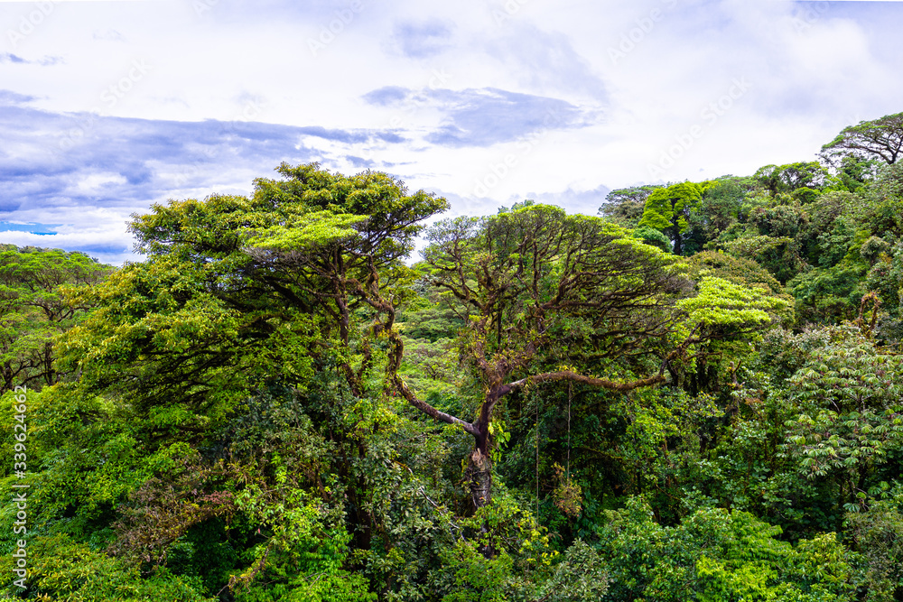 Eine Reise durch das wundervolle Costa Rica. Eine Reise durch das wundervolle Costa Rica.