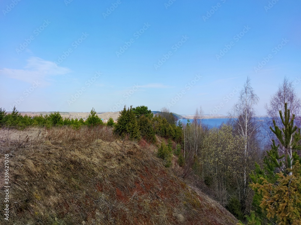 trees on the slope by the river against the blue sky on a spring day trees on the slope by the river against the blue sky on a spring day