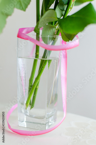The beautiful pic for smartphone desktop. Pink isolated roses in daylight. Vivid petals close-up. Romantic bloom. Green stems in the water