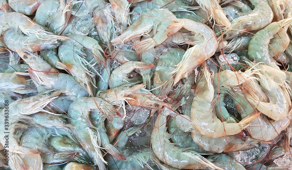 fresh shrimp in the market_01
