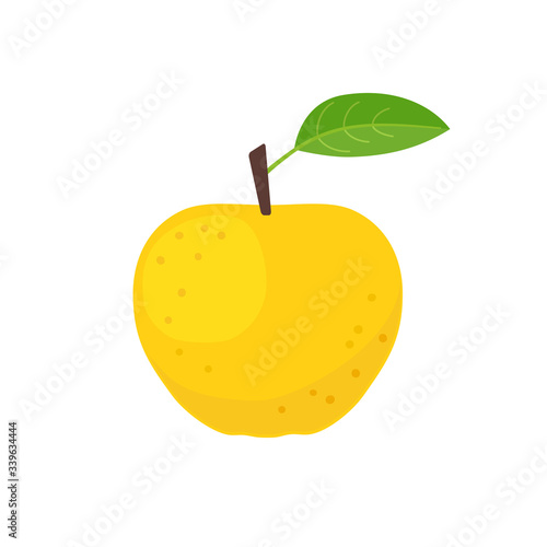 Yellow apple icon flat design vector illustration