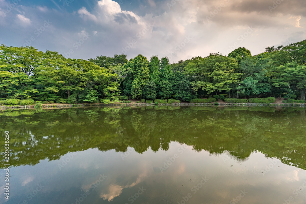Reflections on pond at Kitanomaru Park, Tokyo, Japan