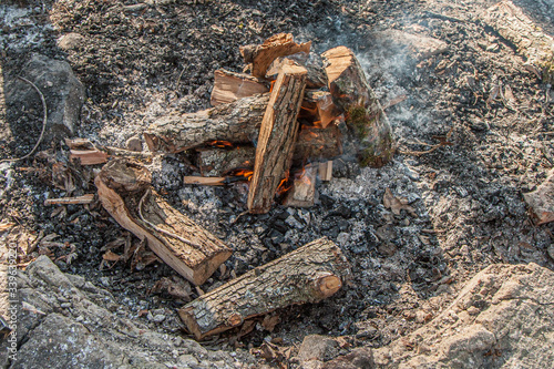 Wallpaper Mural wooden campfire with red flames Torontodigital.ca