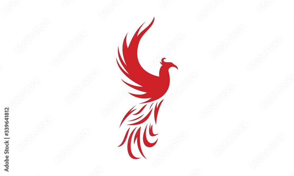 Obraz premium Phoenix,P,Bird