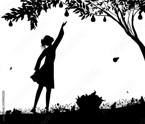 girl silhoutte harvest the pear,fruit harvest scene, shadows black and white, bucket full of pears on the grass, nature product,