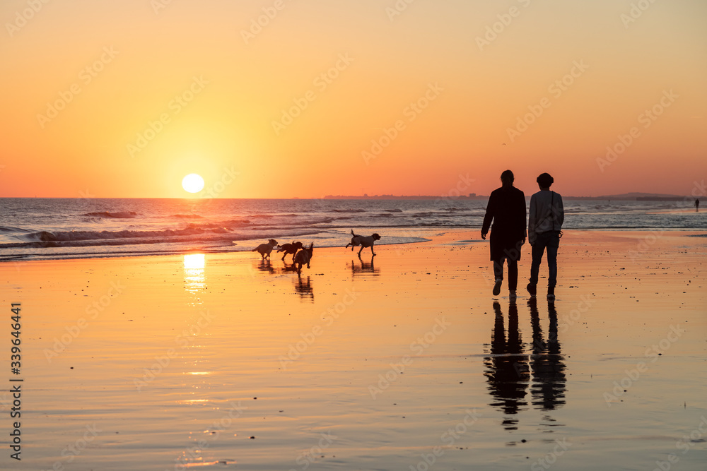Couple walking four dogs on a beach, silhouetted by the setting sun on the horizon at low tide. Beautiful scene with orange colours.