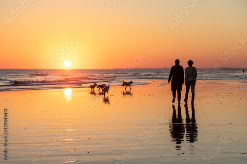 Wall Mural Couple walking four dogs on a beach, silhouetted by the setting sun on the horizon at low tide