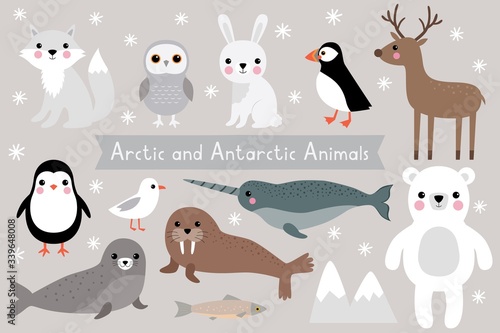 Arctic and Antarctic animals, vector set
