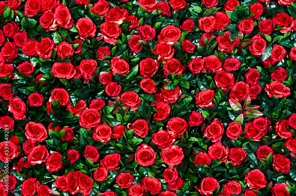 Flower wall, lots of roses Flower wall, lots of roses