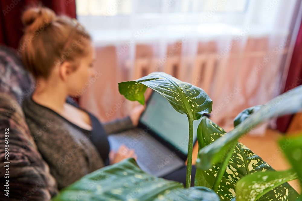 Obraz premium Flower at home. Young woman in the background. Working from home.