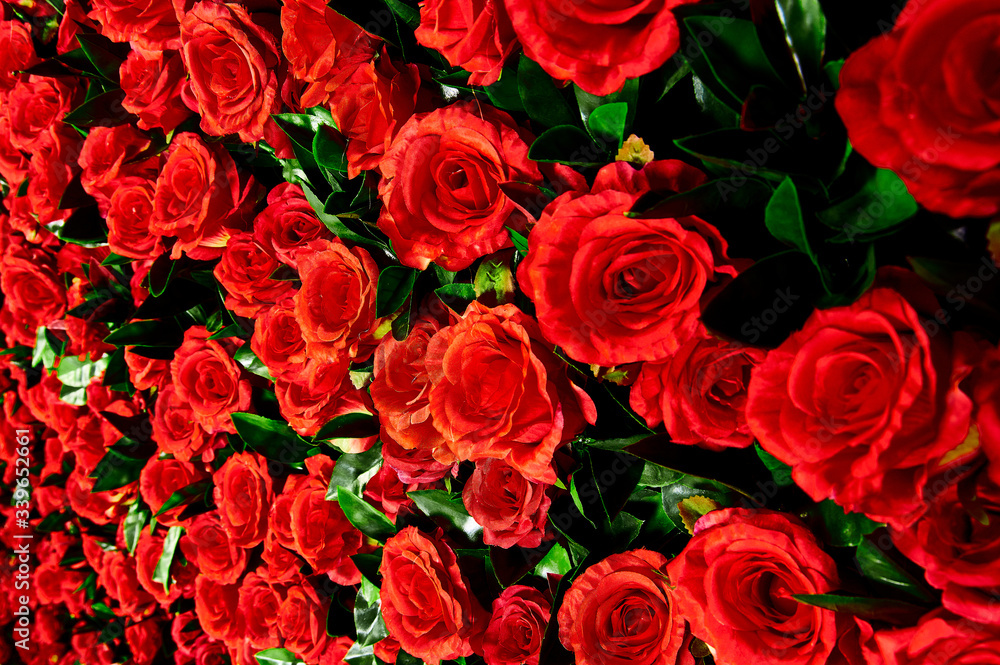 Flower wall, lots of roses Flower wall, lots of roses