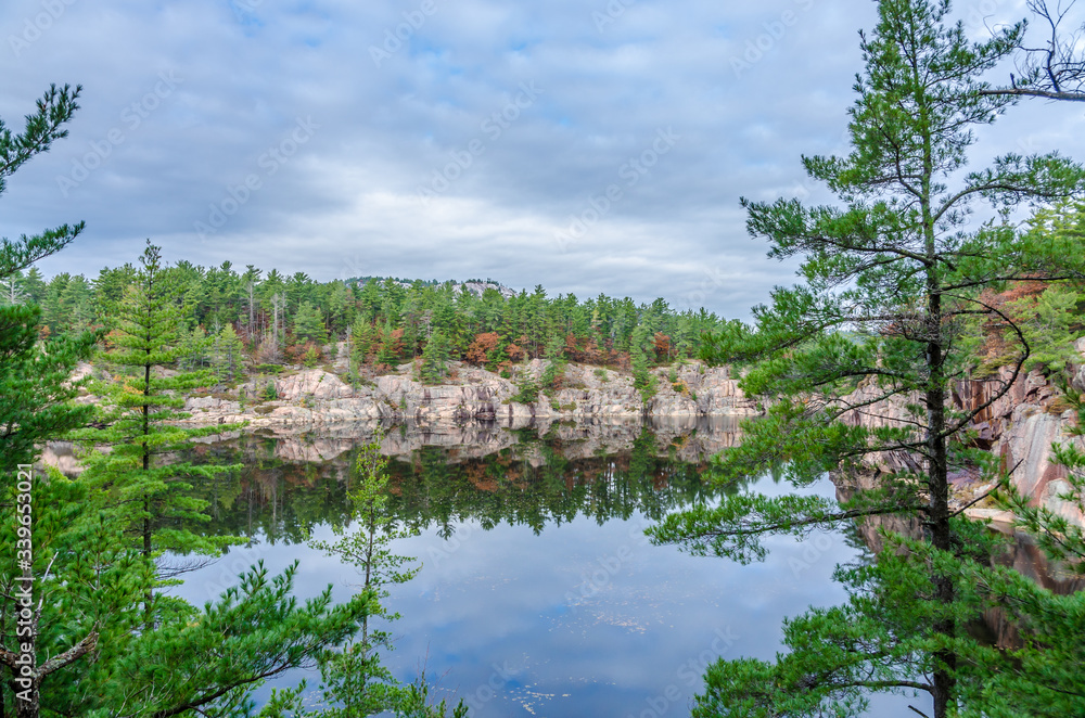 Obraz premium Forest lake
