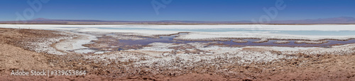 Flamingos. San Pedro de Atacama, Antofagasta - Chile. Desert. Baltinache Lagon.