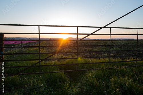 Iron gate at sunset with the light of the sun shining through and highlighting the grass in foreground, flowers to the side and mountains in the background.