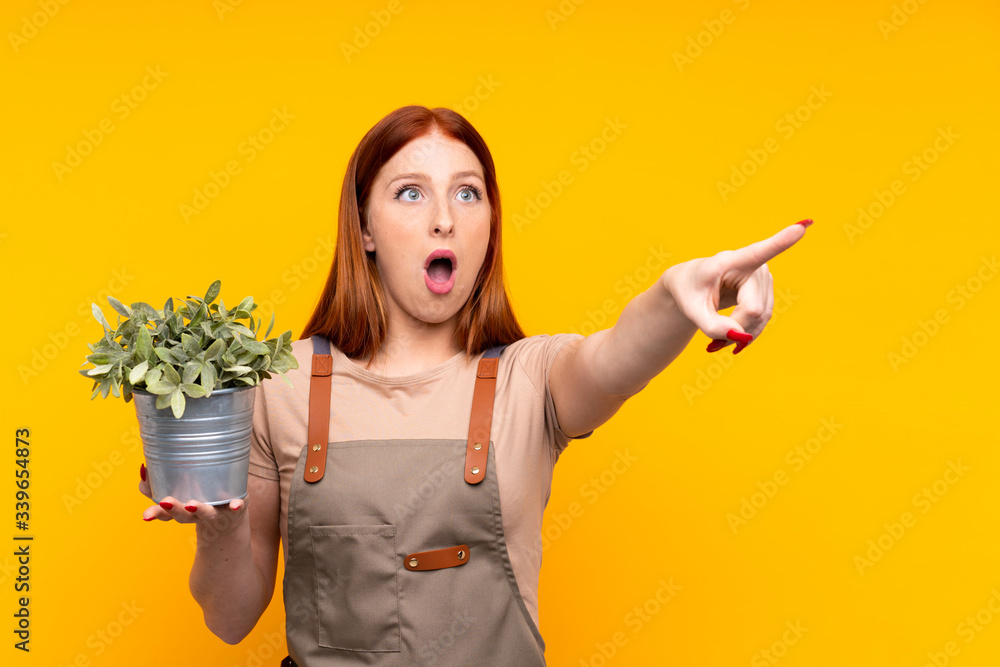 Young redhead gardener woman holding a plant over isolated yellow background pointing away Young redhead gardener woman holding a plant over isolated yellow background pointing away