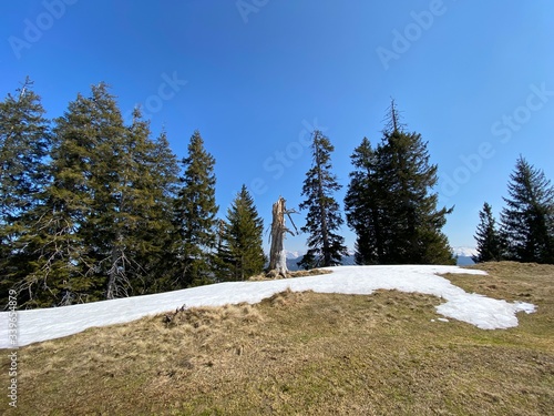 The early spring atmosphere and the last remnants of winter in the Alptal alpine valley, Einsiedeln - Canton of Schwyz, Switzerland Schweiz photo