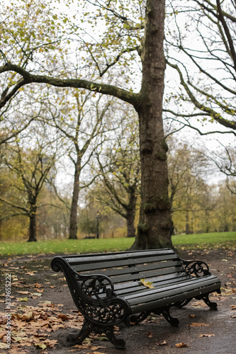 A lonely bench on fall day in the park