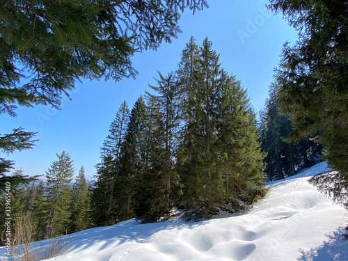 The early spring atmosphere and the last remnants of winter in the Alptal alpine valley, Einsiedeln - Canton of Schwyz, Switzerland Schweiz photo