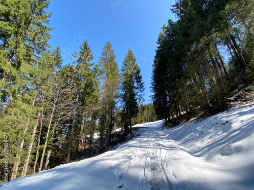 The early spring atmosphere and the last remnants of winter in the Alptal alpine valley, Einsiedeln - Canton of Schwyz, Switzerland Schweiz photo