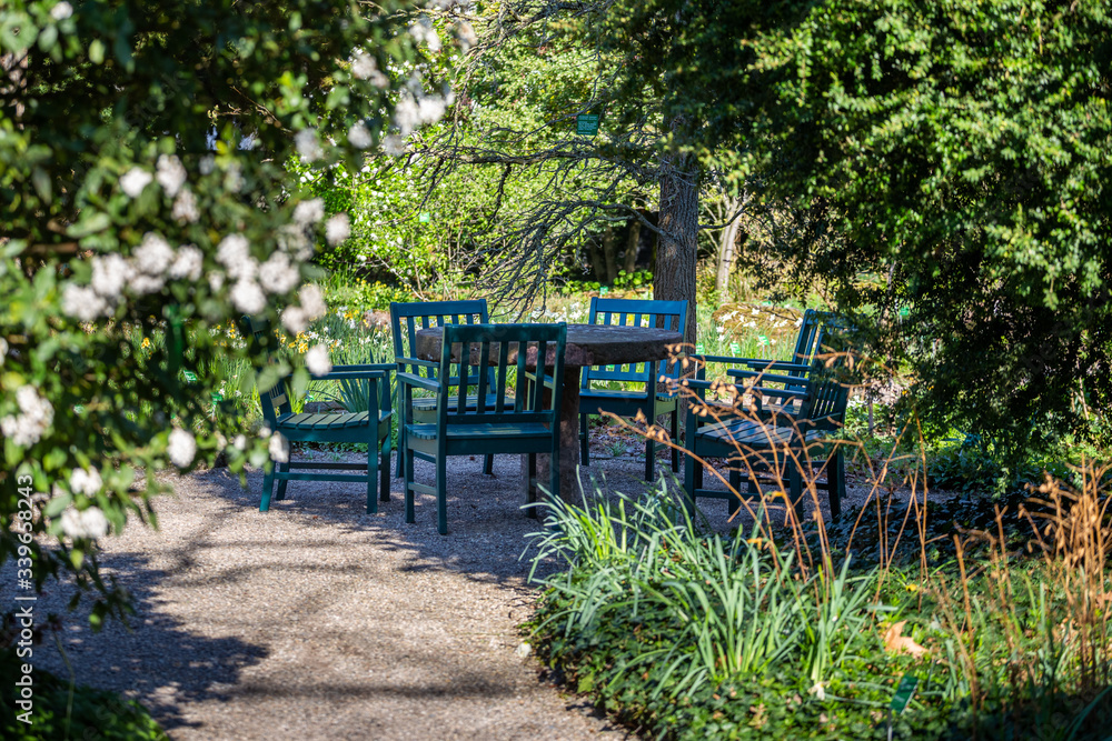 Green wooden chairs and a stone table in the park. A place to relax and socialize. Around flowering, green plants.