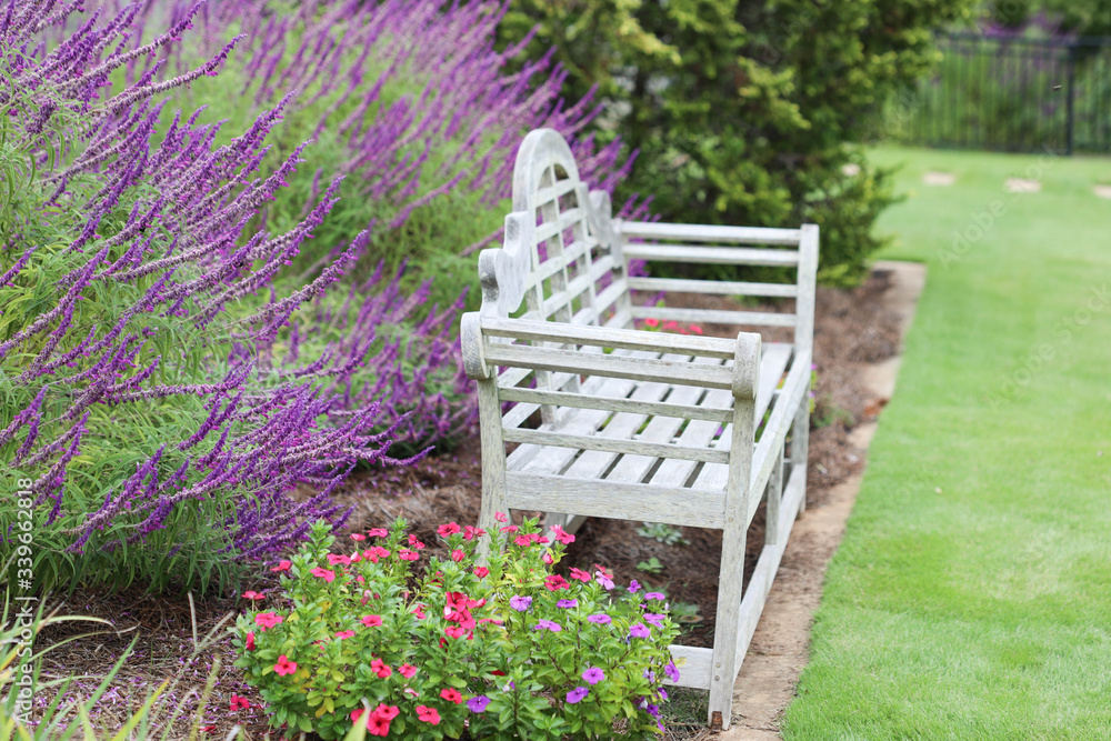 bench in the garden with pruple flowers