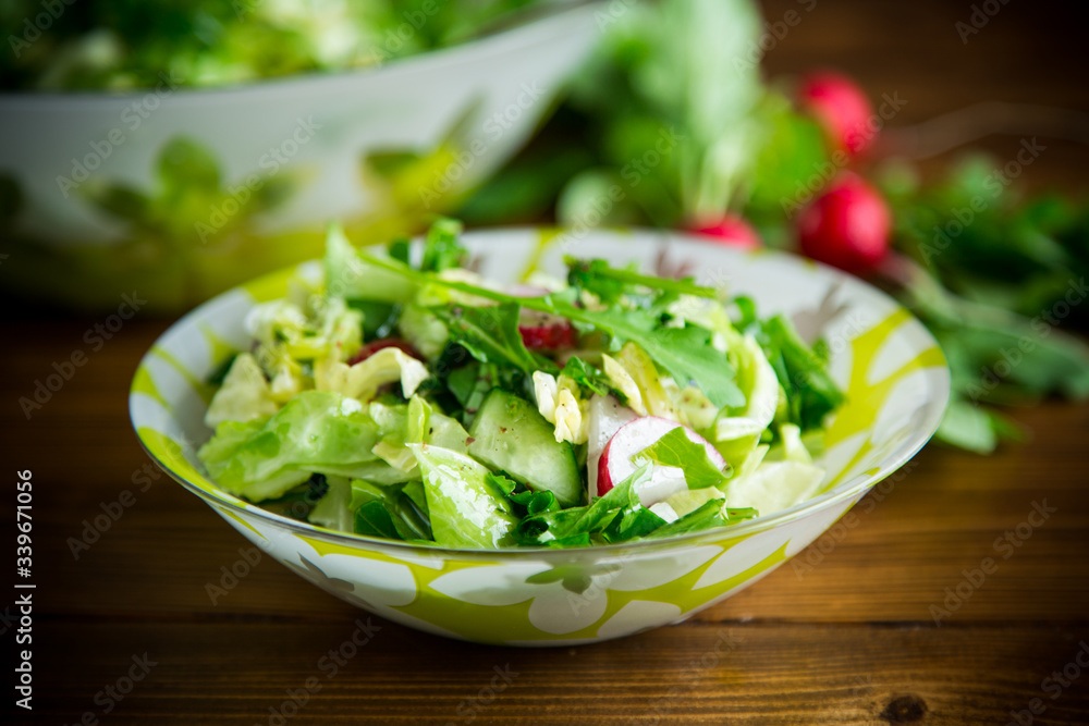 Spring salad from early vegetables, lettuce leaves, radishes and herbs in a plate on the table Spring salad from early vegetables, lettuce leaves, radishes and herbs in a plate on the table