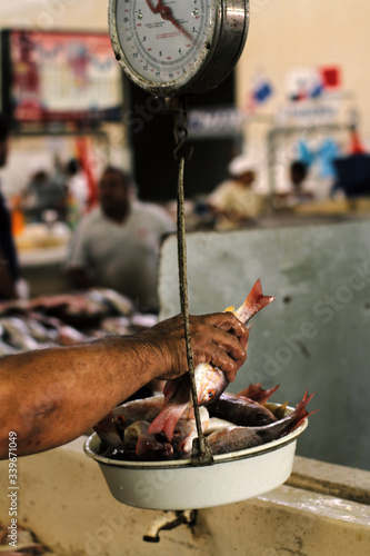 Slika na platnu Man taking weighing fish on a scale