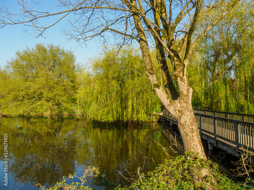 Frühling am See im Westmünsterland photo