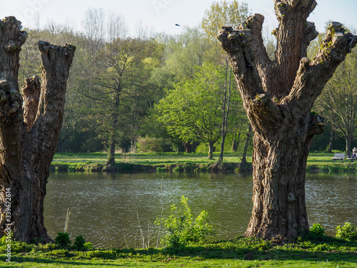 Frühling am See im Westmünsterland photo