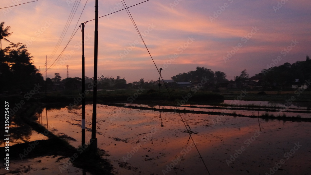 beautiful sunsrise over the rice fields. 