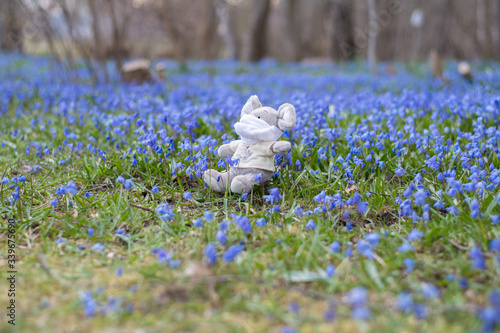 Soft toy mouse sits in a field of blue flowers in a medical mask. A little mouse sits in a spring forest in a mask on his face. Children's toy.
