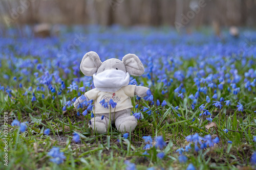 Soft toy mouse sits in a field of blue flowers in a medical mask. A little mouse sits in a spring forest in a mask on his face. Children's toy.