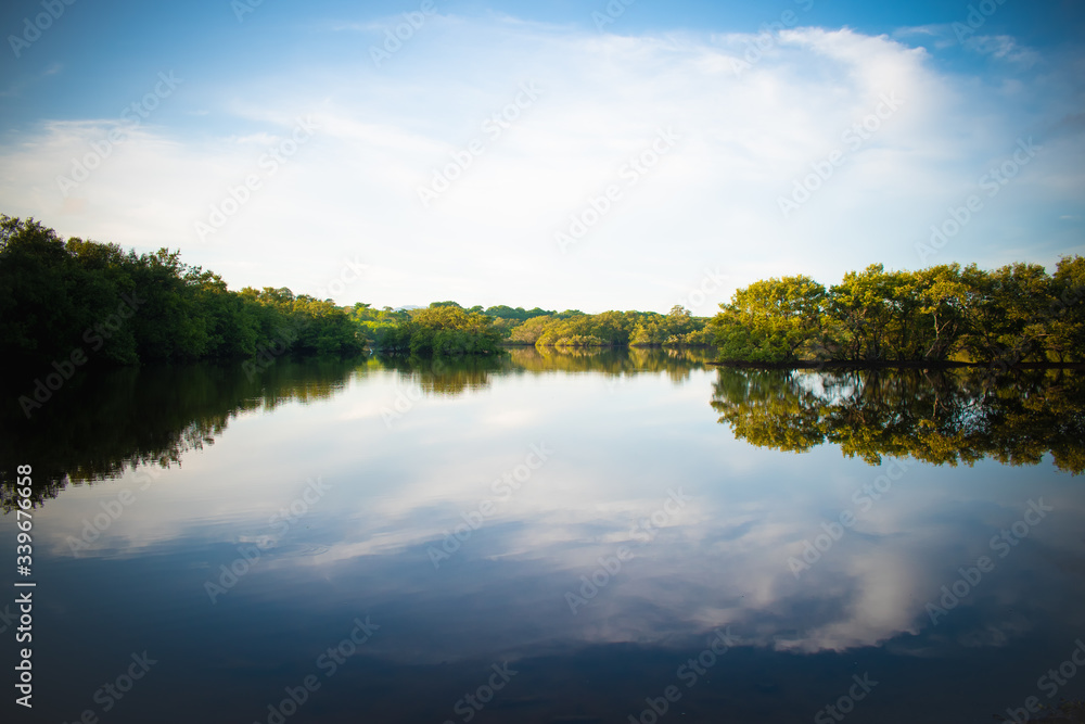 lake in the forest