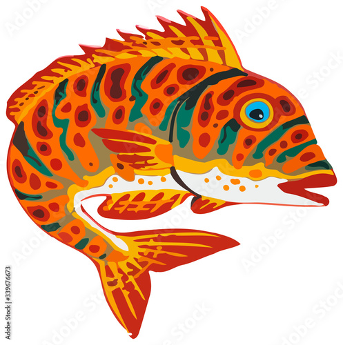 Colorful fish vector illustration