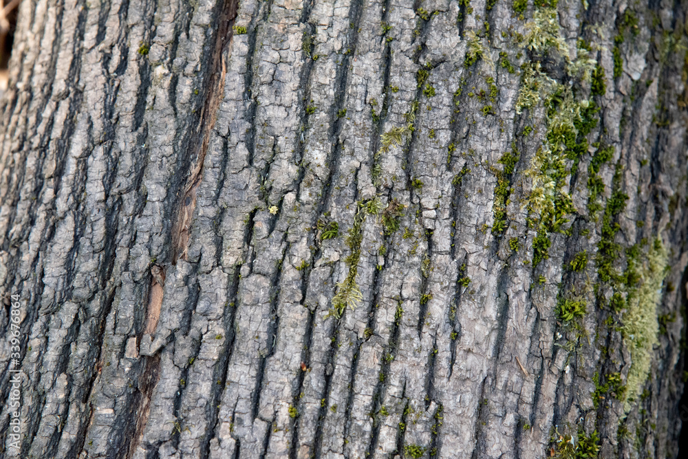 Obraz premium Hintergrundbild