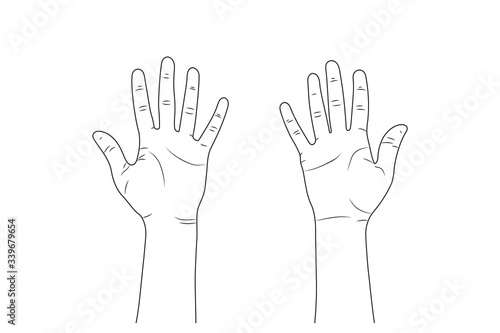 female hands. eps10 Vector sketch illustration - women's hands.