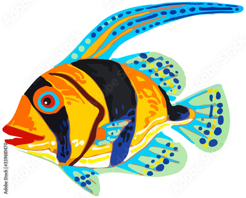 Colorful fish vector illustration photo