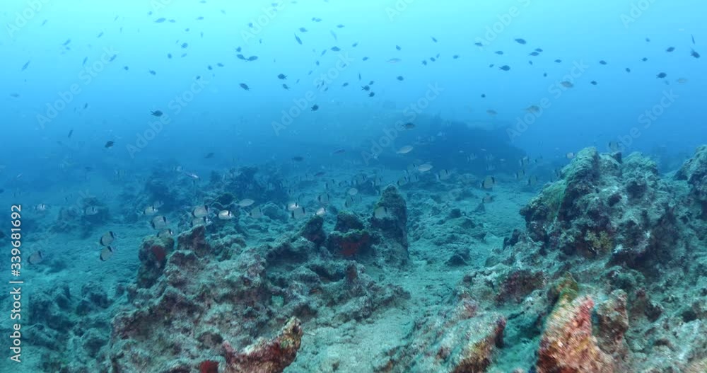 ship wreck scenery underwater shipwreck metal on the ocean floor ship wreck scenery underwater shipwreck metal on the ocean floor
