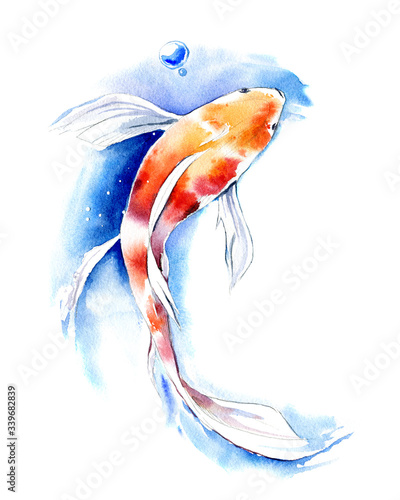 Canvas Print Hand drawn watercolor illustration of Koi Carp fish on white background