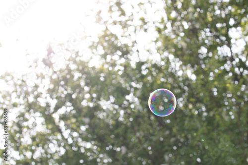 in a bubble