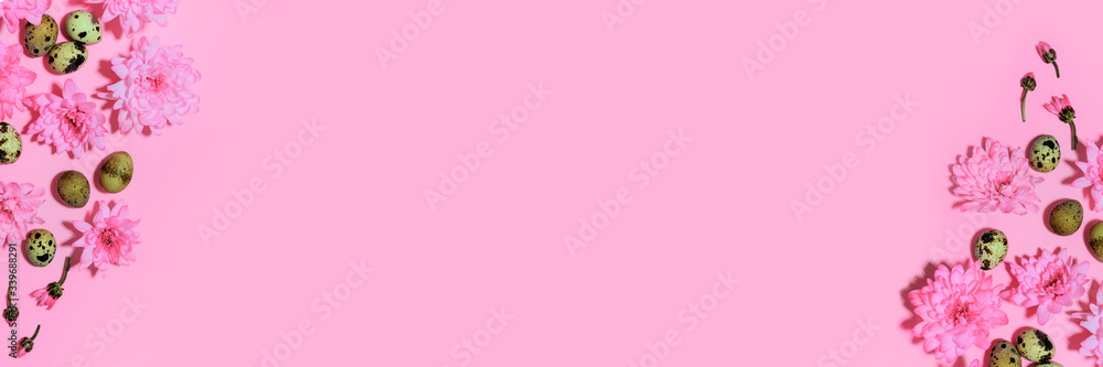 Many Quail eggs, blooming chrysanthemum flowers on pink background. Easter floral festive holiday flat lay beauty concept. Purple horizontal banner, site header, greeting template with copy space Many Quail eggs, blooming chrysanthemum flowers on pink background. Easter floral festive holiday flat lay beauty concept. Purple horizontal banner, site header, greeting template with copy space