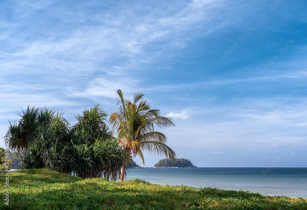 Palm trees by the sea. Phuket Island