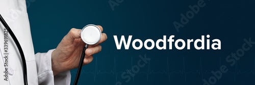 Woodfordia. Doctor in smock holds stethoscope. The word Woodfordia is next to it. Symbol of medicine, illness, health photo