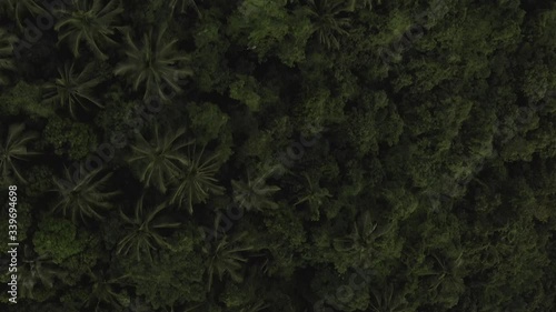 Wallpaper Mural Shooting from a quadrocopter at nomuang falls 1 and 2 on samui island at a huge height with beautiful views with sunset and a beautiful panorama with beautiful views of the Gulf of Siam from the heigh Torontodigital.ca