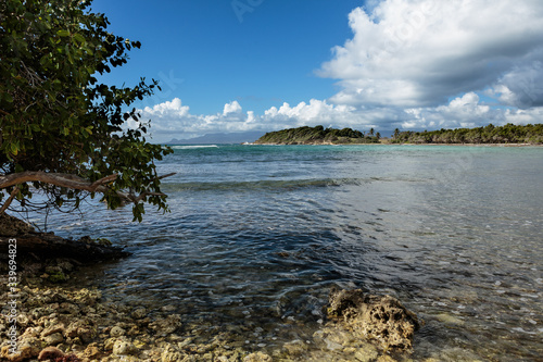 Exotic landscape of Guadeloup shoreline