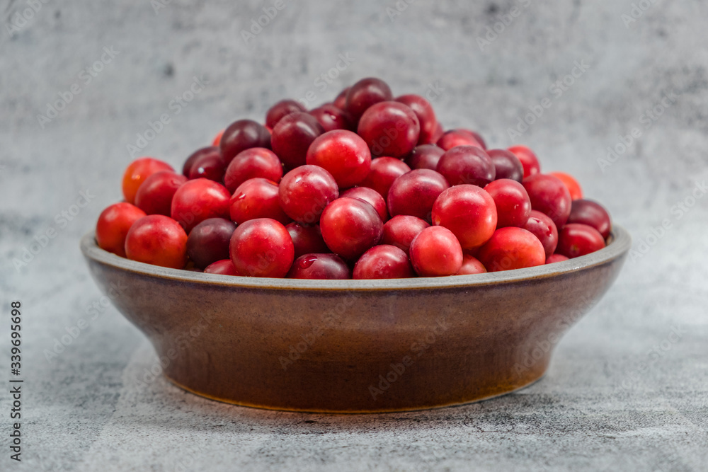 Bowl of Freshly Harvested Mirabelle Plums Bowl of Freshly Harvested Mirabelle Plums