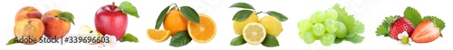 Food collection fruits apple orange grapes apples peach oranges fresh fruit in a row isolated