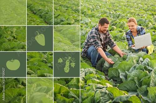 Agricultural engineers work...