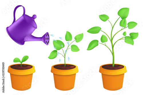 Infographic different stages of young plants growing up with the watering can. Vector botanical illustration of green sprout with leaves in pot isolated on white background